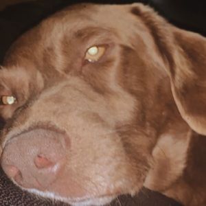 Meet your Posher, Ashlynn